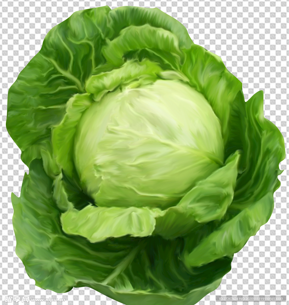 白菜