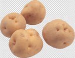 土豆