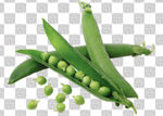 豌豆