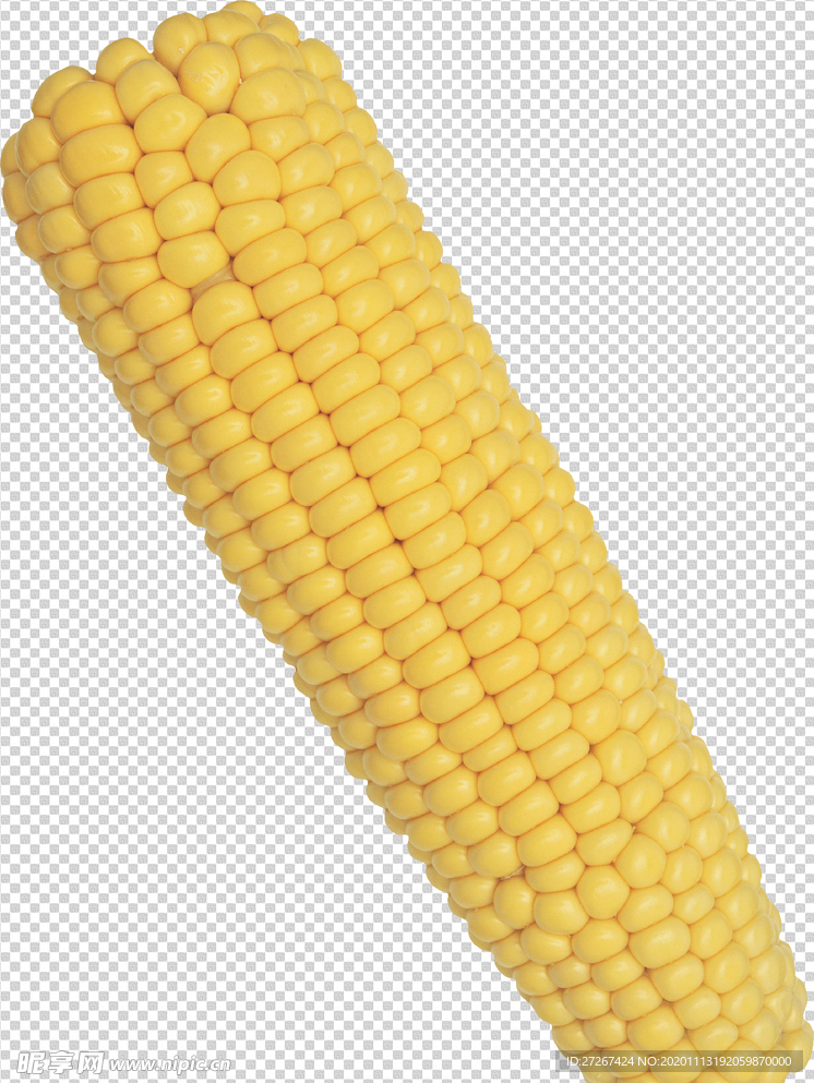 玉米