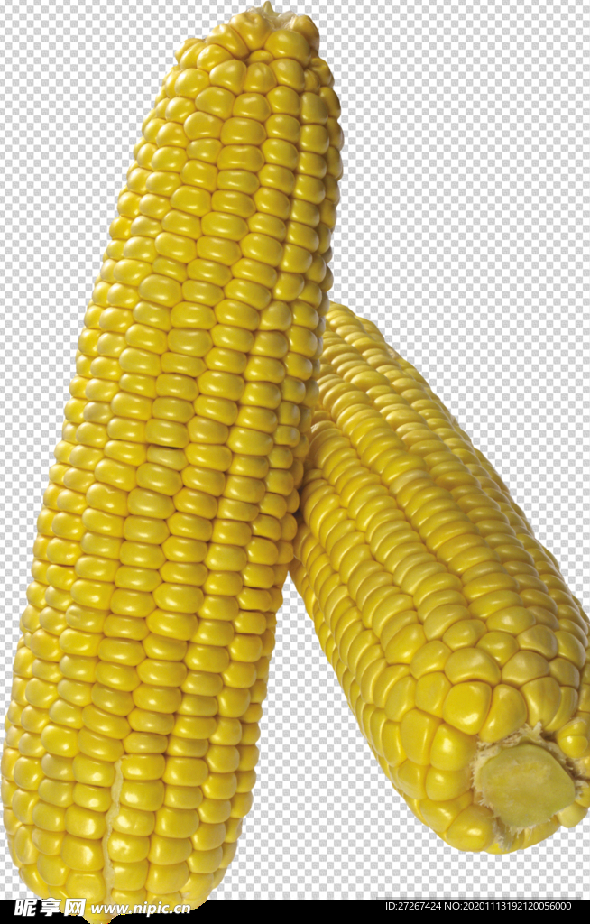 玉米