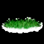 春天绿色植物小清新草丛