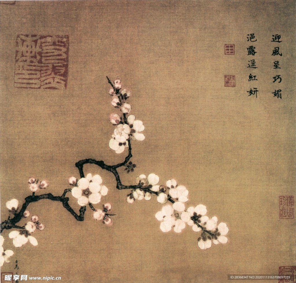 梅花