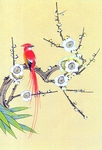 梅花