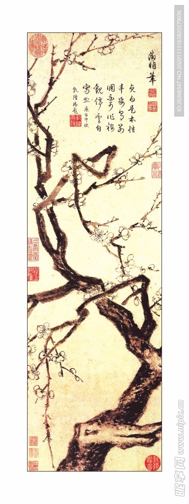 梅花
