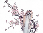 梅花