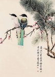 梅花