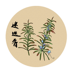 插画素材