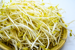 绿豆芽