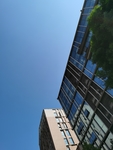 大楼