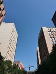 大楼