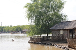 河  湖 水 鸭子  小岛