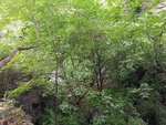 京西十八潭