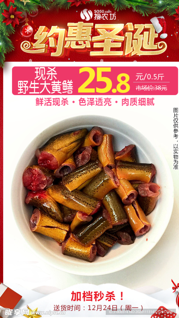 现杀野生大黄鳝圣诞秒杀图