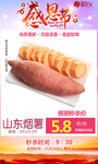 山东烟薯25号促销图