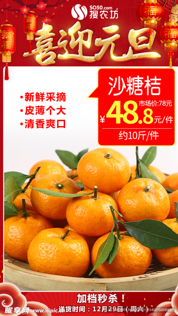 元旦沙糖桔