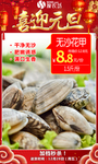 元旦无沙花甲