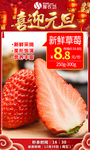 元旦新鲜草莓