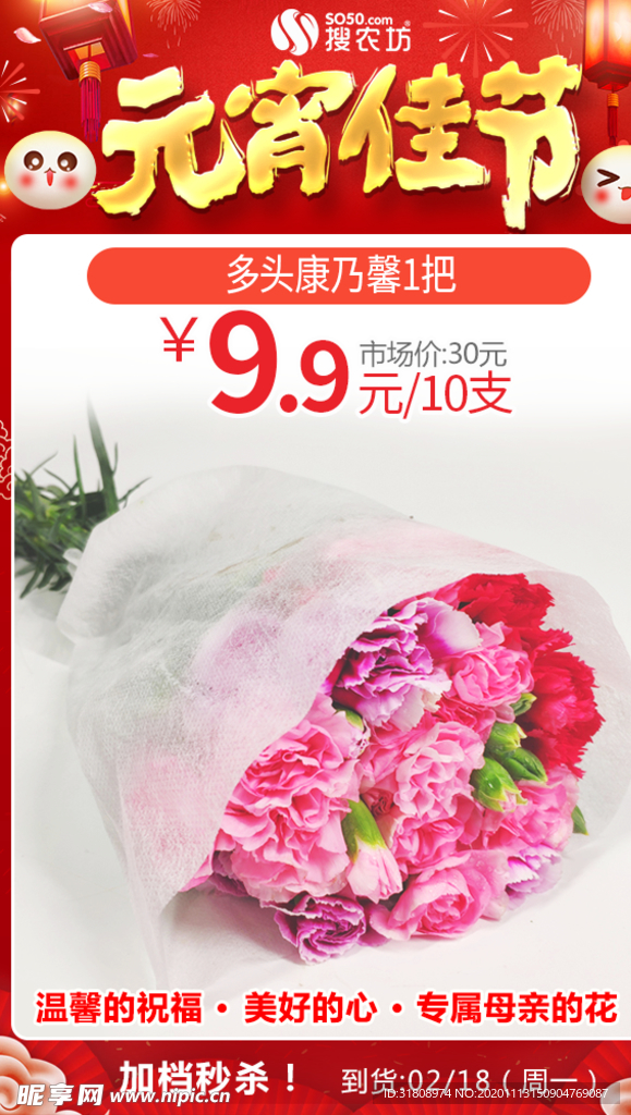 元宵多头康乃馨