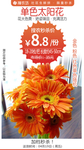 单色太阳花秒杀