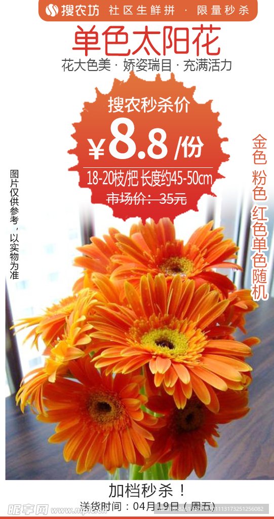 单色太阳花秒杀