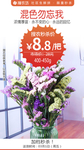混色勿忘我1束秒杀
