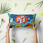 抱枕样机