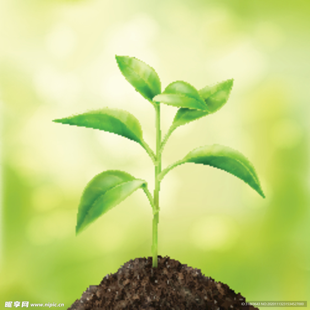 盆栽 植物 摆件