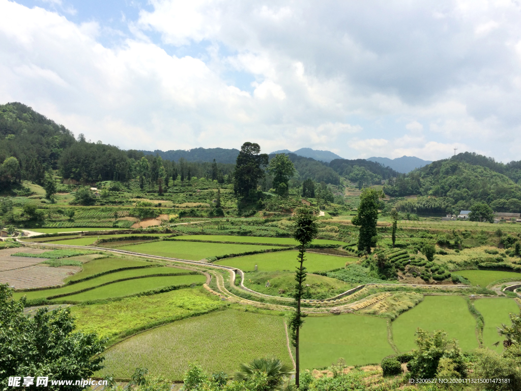 山水田园