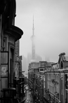 城市