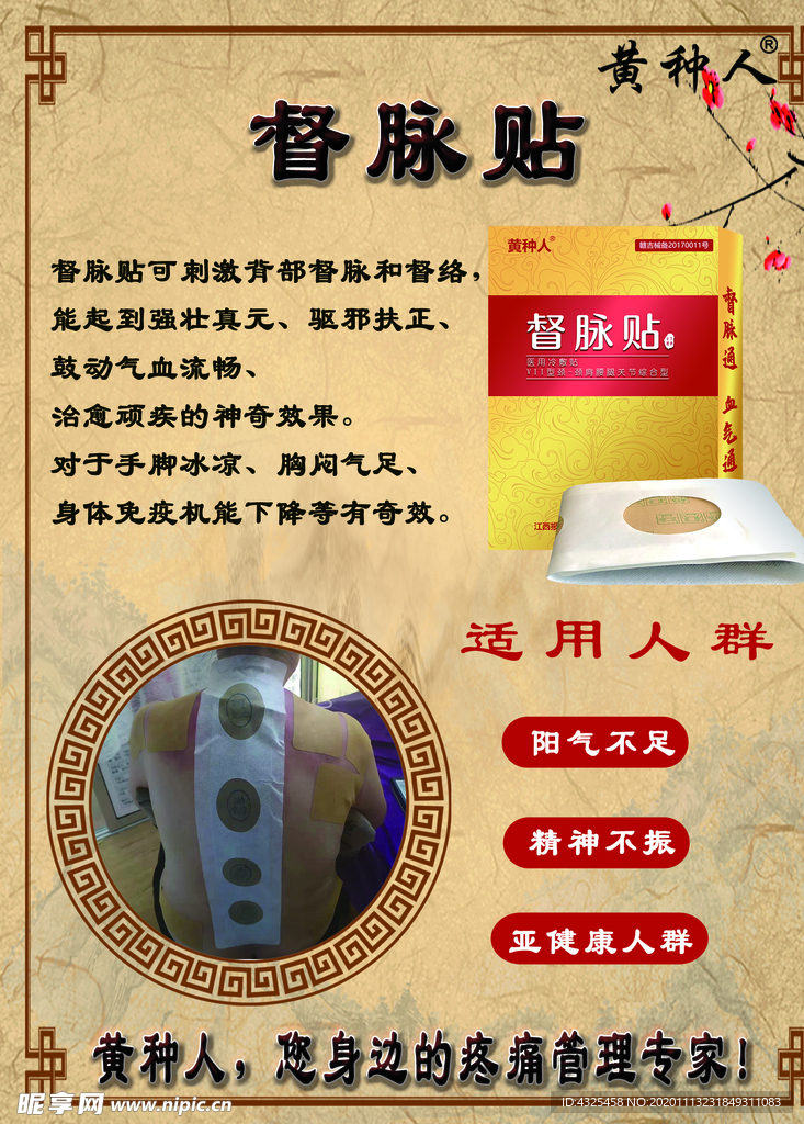 督脉贴
