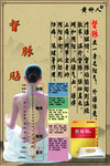 督脉贴
