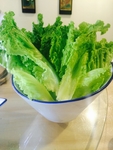 火锅配菜