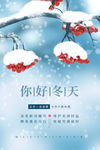 小雪