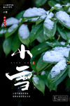 小雪