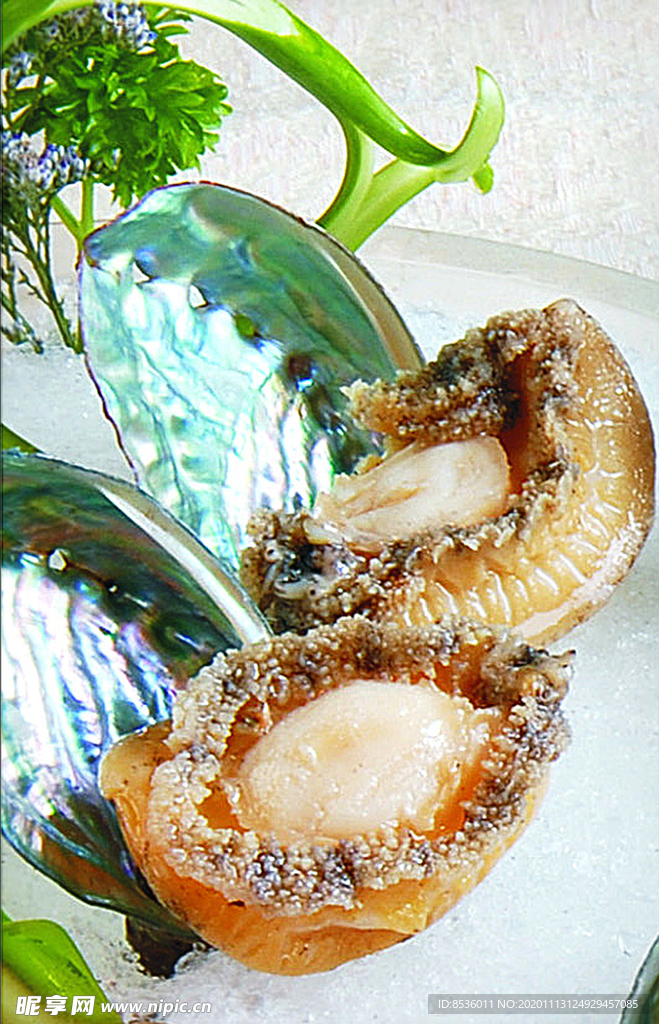 豫菜冰镇九孔