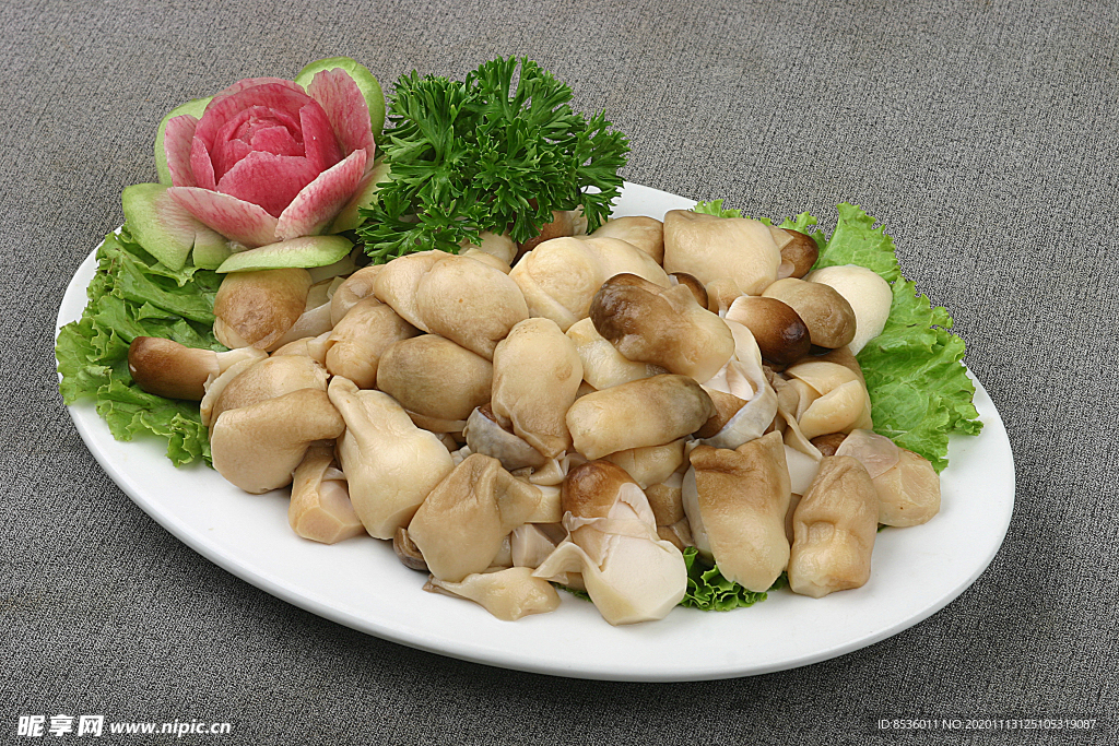 豫菜草菇