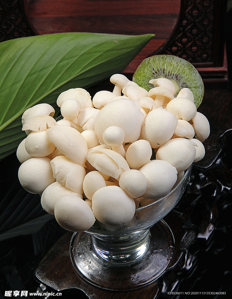 豫菜海鲜菇