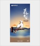 和平鸽 国际和平日 世界和平