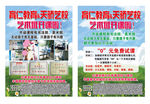 育人教育艺术班海报