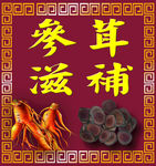 参茸滋补
