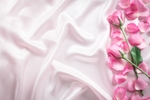 玫瑰花