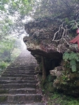 圣堂山巨蟒迎宾