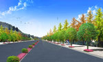 道路绿化
