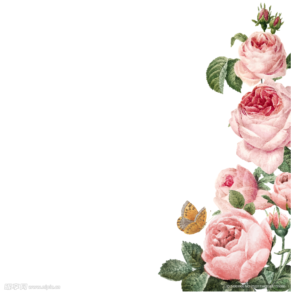 水彩花卉插画