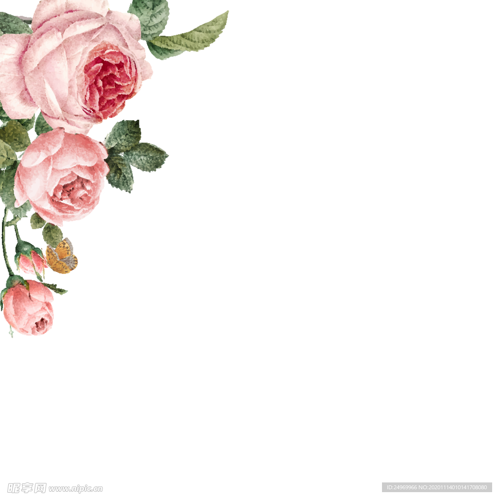 水彩花卉插画