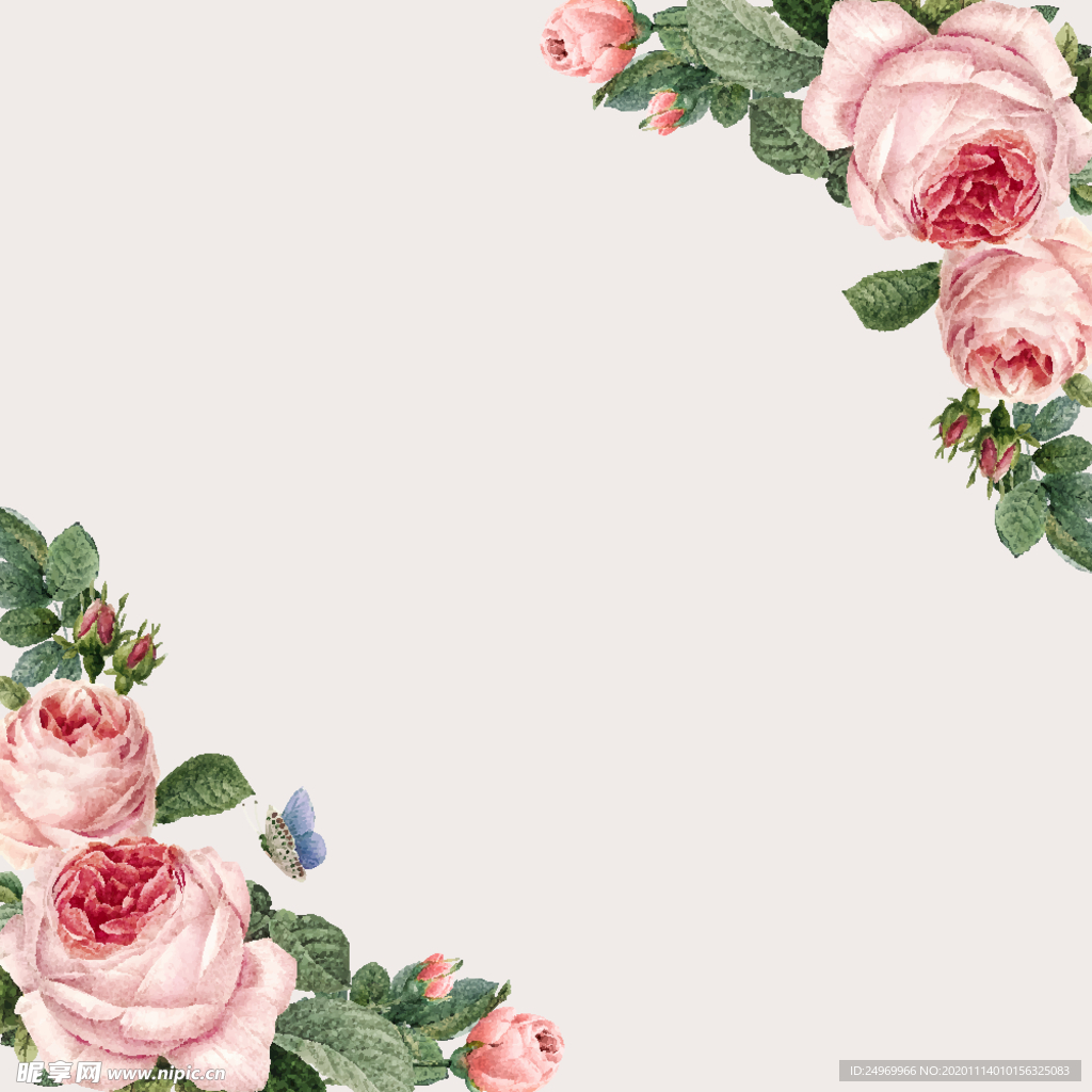 水彩花卉插画