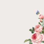 水彩花卉插画