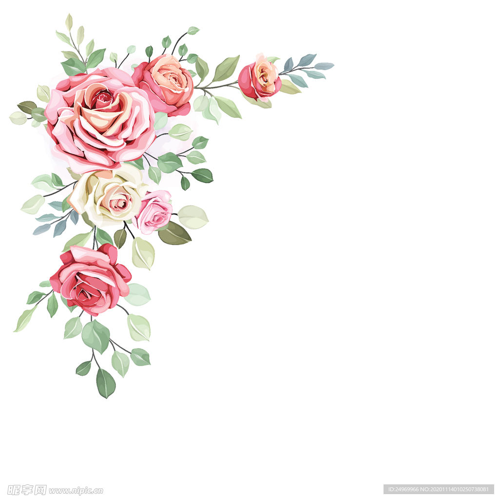 水彩花卉插画