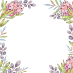 水彩花卉插画